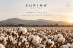 Supima® Essential Tee - Black - PALACE SOCIETY